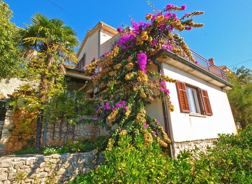 981 Apartment Rabac